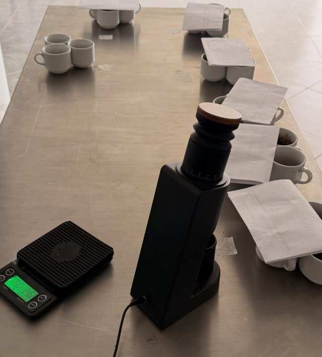 Mesa de catación con tazas, molino y registros para evaluar el café